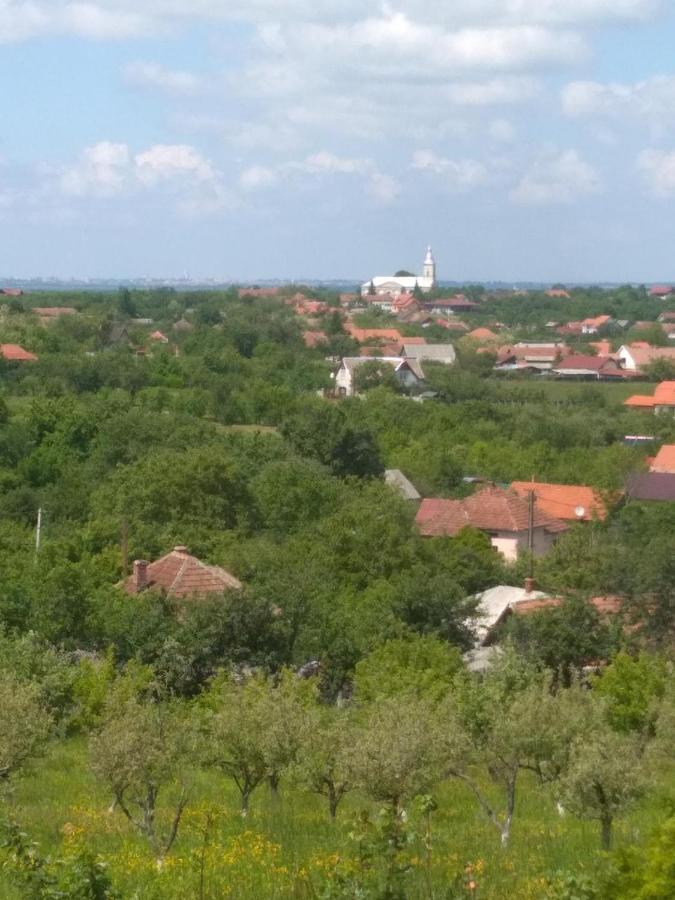 Vis Pension Viile Satu Mare Eksteriør bilde