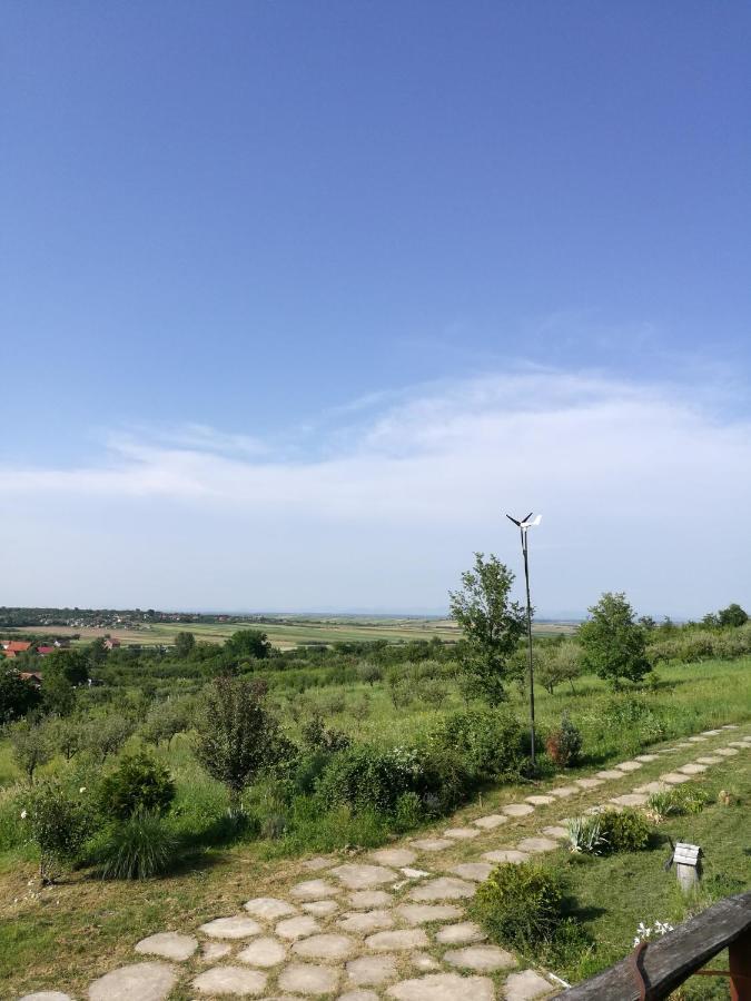 Vis Pension Viile Satu Mare Eksteriør bilde